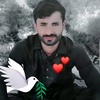 sajjad237890