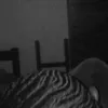 lucascharles77