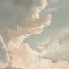 userucr26irpsx