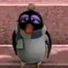 onot.cootz
