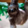 slothmusiclibrary