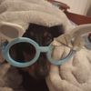 elise_0440