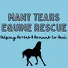 Many Tears Equestrian