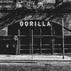 Gorilla Manchester