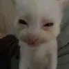 abcxyzxyzabc10