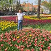 dan.mihail.culda