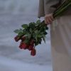 wa_sirt