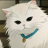 _tiktok.jeomeoi