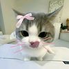 beloved._.baby174