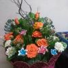 roslina2903