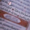 nour.elhouda0403