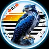 hammad01_ht