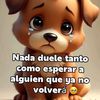 camilaandres16