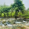 raed8068
