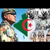 abouahmed369