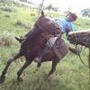 jacobo.perez23
