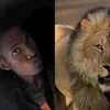 danluizsingle