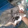 mosmumu18