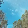 skycann2