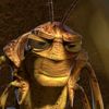 yemithefly