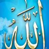 user2337756513866