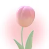 maiiluv7ii7