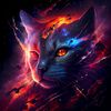 space_cat61