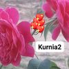 kurnia.kurnia47