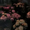 _thwynqoc_