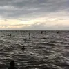axel.orrego_