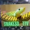 snake30_ttv