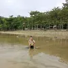 kuyangginjayesojn