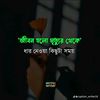 user19593833225810