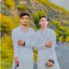 hedaraii4