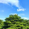 tukangstory58