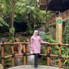 noralizamaarof
