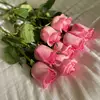 samma__99