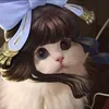 watashind4h