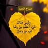user4591876077770