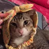 blekithekitty