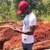 diamondnumz