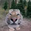 usercmakbovu41