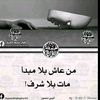user41876842831911