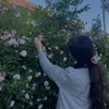 shiraz_._z