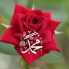 a_q.za