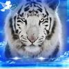 user54ri4xmrhj
