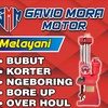 gavio.mora.motor