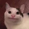 ikhwan_wan12