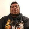 bull_bullmaa