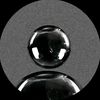torquelewith791
